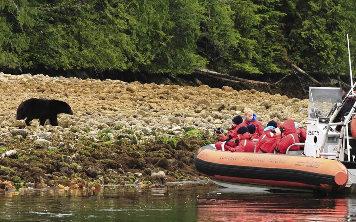 Kanada-British-Columbia-Wildretreat-bear.jpg