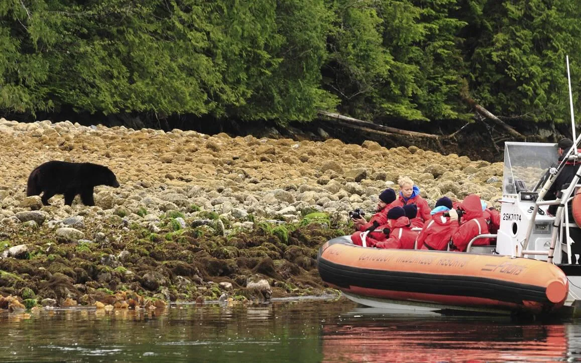 прогулянки на човні