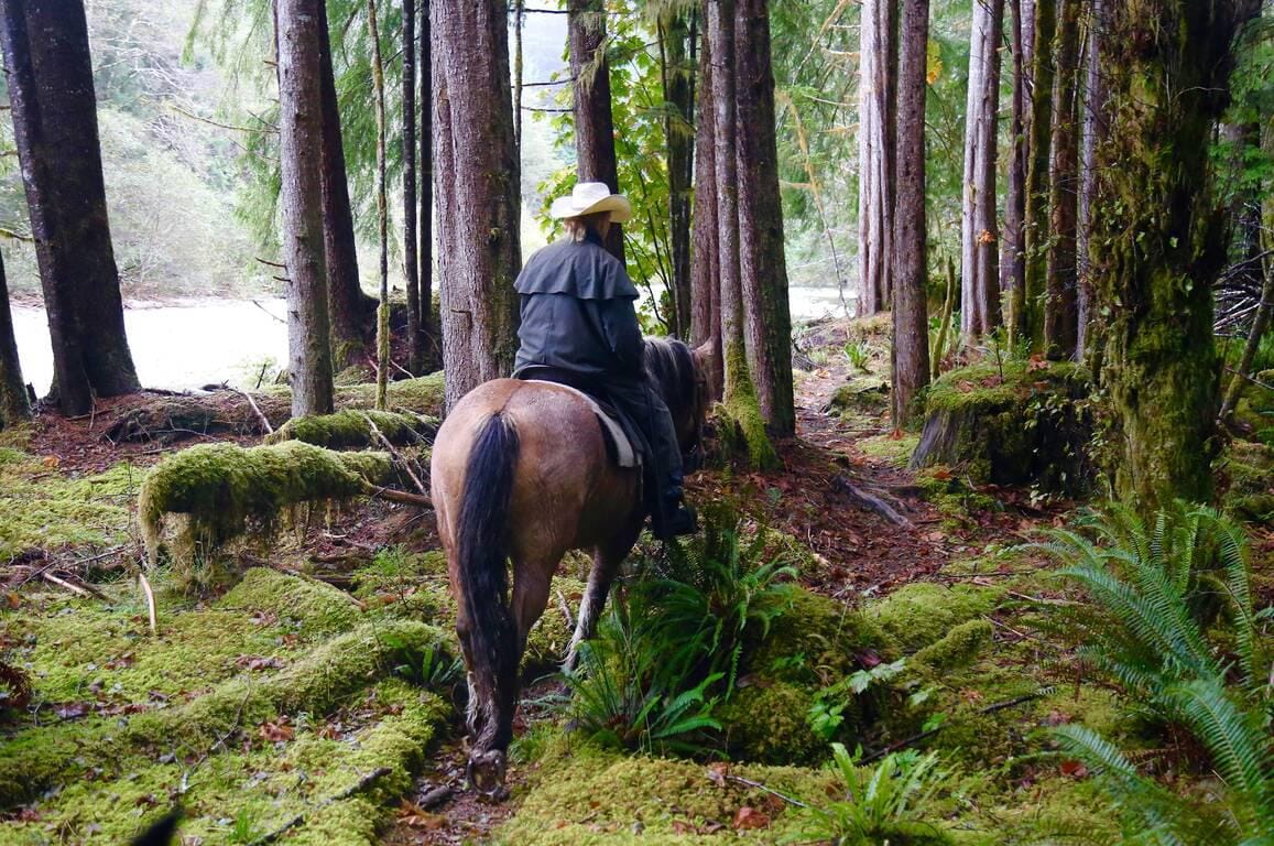 Kanada-British-Columbia-Wildretreat-jazda-konna.jpg