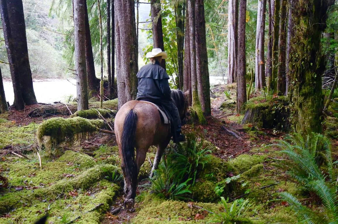 Верхова їзда
