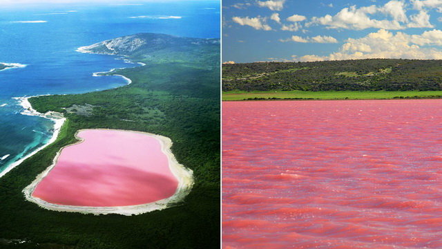 lake hillier różowe jezioro australia wycieczki objazdowe