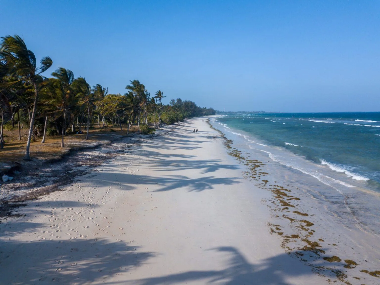 Msambweni-Beach-House-Kenya-best-hotels-in-Kenya-luxury-holidays-in-Kenya-exclusive-hotels-in-Africa-luxury-holidays-with-kids-in-Kenya-luxury-family-hotels- w-Kenia-37.jpg