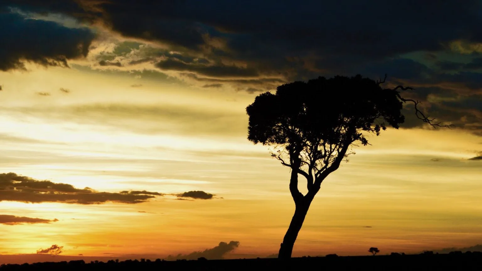 Olare-Mara-Kempinski-Masai-Mara-najlepsze-safari-w-Kenii-luksusowe-safari-w-Kenii-ekskluzywne-safari-Kenia-luksusowe-wakacje-w-Afryce-10.jpg