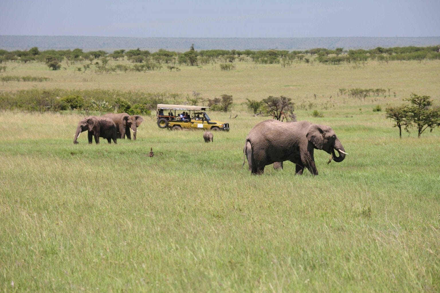 Olare-Mara-Kempinski-Masai-Mara-najlepsze-safari-w-Kenii-luksusowe-safari-w-Kenii-ekskluzywne-safari-Kenia-luksusowe-wakacje-w-Afryce-22.jpg