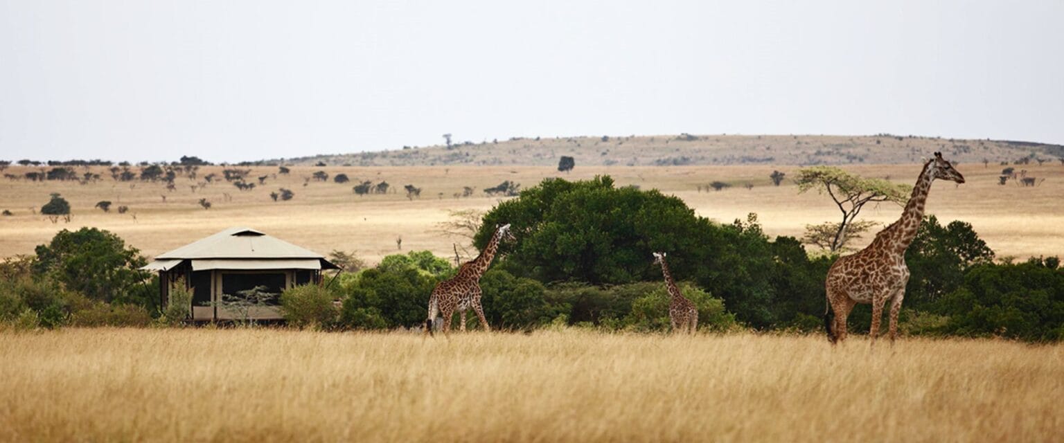Olare-Mara-Kempinski-Masai-Mara-najlepsze-safari-w-Kenii-luksusowe-safari-w-Kenii-ekskluzywne-safari-Kenia-luksusowe-wakacje-w-Afryce-36.jpg