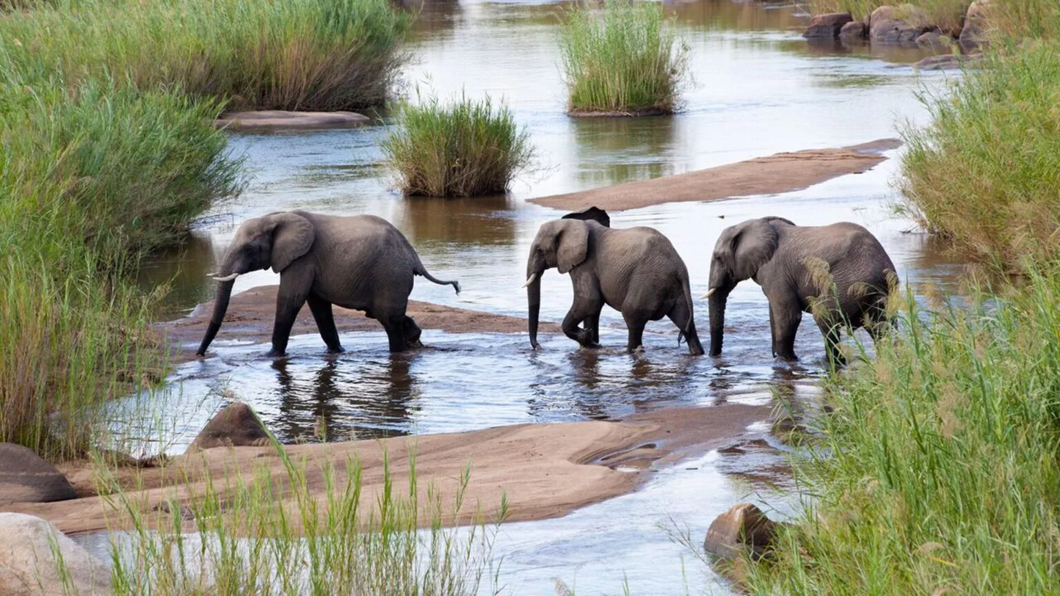 Olare-Mara-Kempinski-Masai-Mara-najlepsze-safari-w-Kenii-luksusowe-safari-w-Kenii-ekskluzywne-safari-Kenia-luksusowe-wakacje-w-Afryce-4.jpg