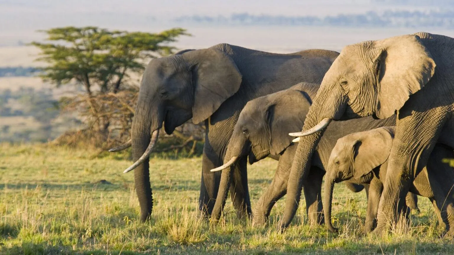 Olare-Mara-Kempinski-Masai-Mara-najlepsze-safari-w-Kenii-luksusowe-safari-w-Kenii-ekskluzywne-safari-Kenia-luksusowe-wakacje-w-Afryce-40.jpg