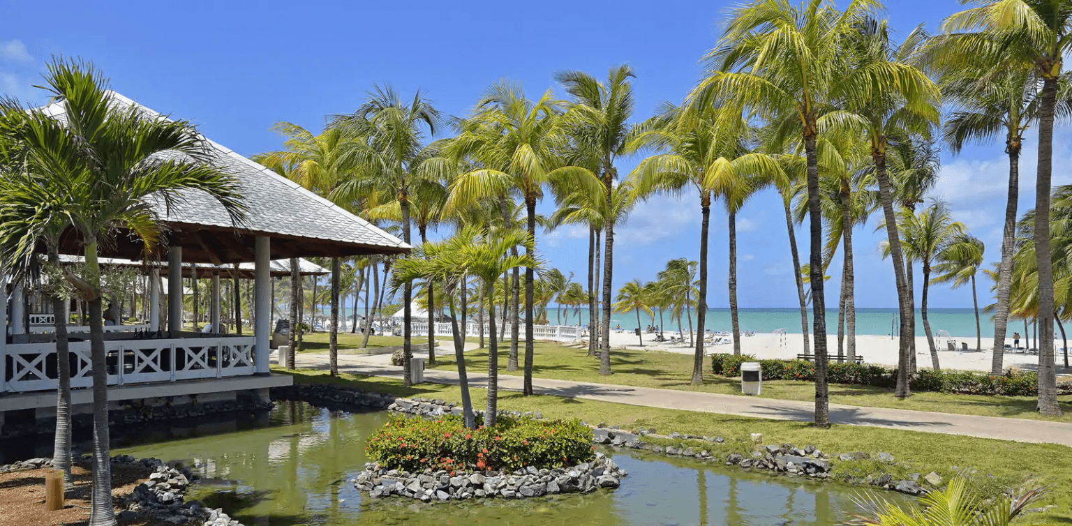 Pardisus-Varadero_Kuba-front-side.png
