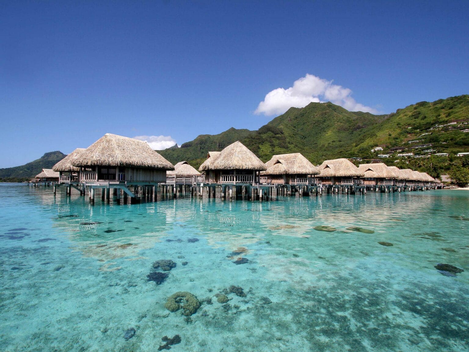 SOFITEL-MOOREA-IA-ORA-BEACH-RESORT-5.jpg