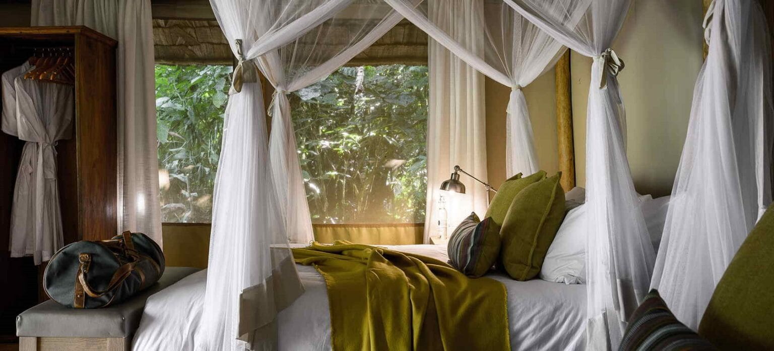Sanctuary-Gorilla-Forest-Camp-Uganda-luksusowe-lodge-w-Ugandzie-ekskluzywne-wakacje-w-Ugandzie-luksusowa-wyprawa-szyta-na-miare-do-Ugandy-11f.jpg
