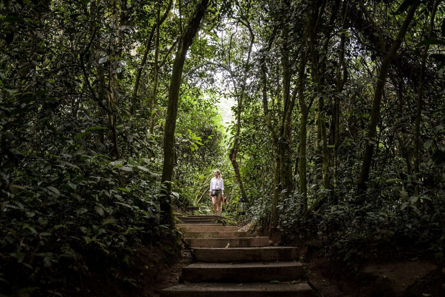 Sanctuary-Gorilla-Forest-Camp-Uganda-luksusowe-lodge-w-Ugandzie-ekskluzywne-wakacje-w-Ugandzie-luksusowa-wyprawa-szyta-na-miare-do-Ugandy-18.jpg