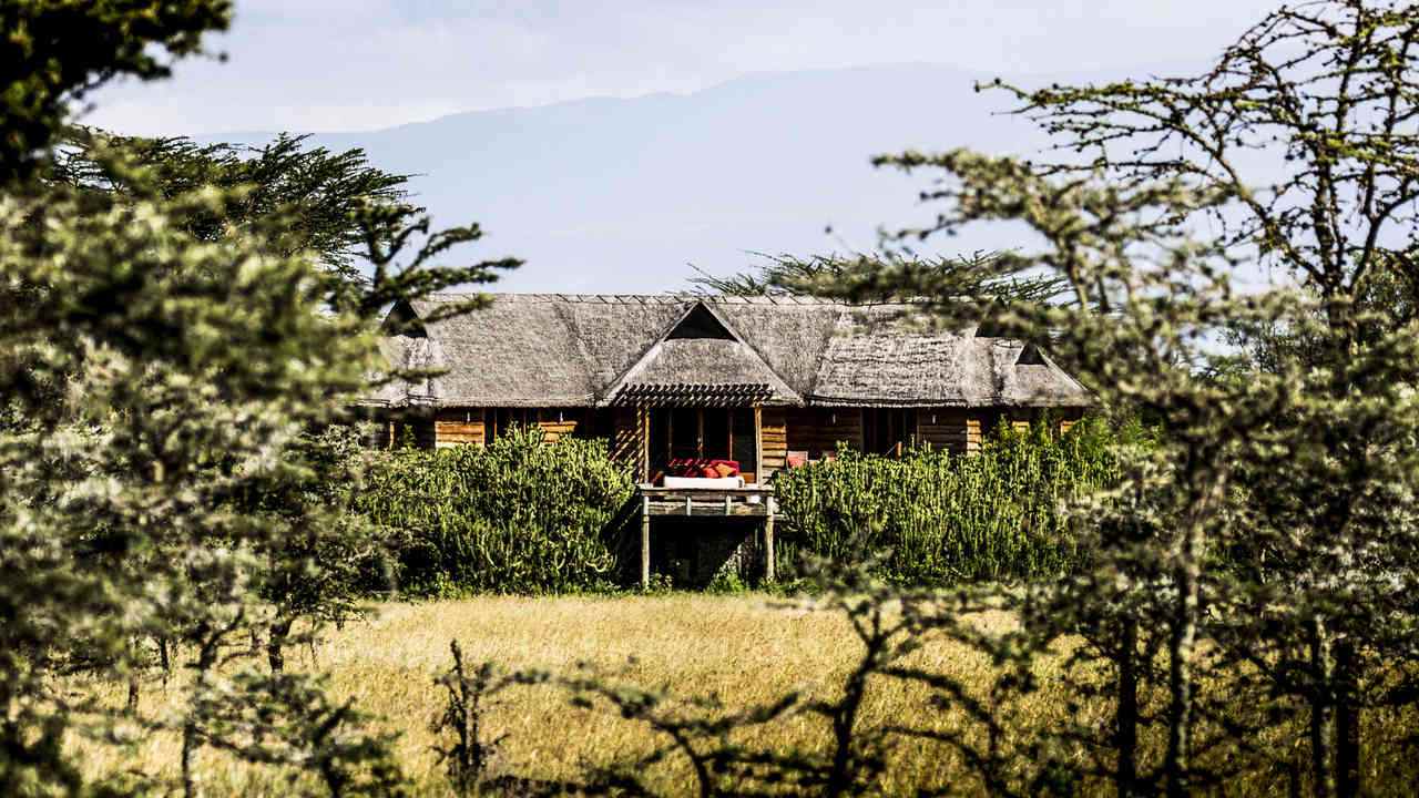 Segera-Retreat-Kenia-najlepsze-safari-w-Kenii-luksusowe-wyprawy-do-Kenii-ekskluzywne-wycieczki-do-Kenii-luksusowe-wakacje-w-Kenii-z-dziecmi-22.jpg