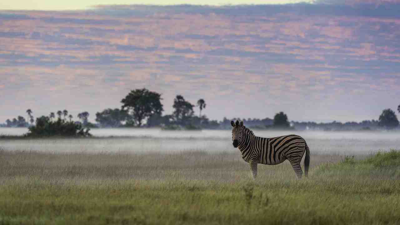 Segera-Retreat-Kenia-najlepsze-safari-w-Kenii-luksusowe-wyprawy-do-Kenii-ekskluzywne-wycieczki-do-Kenii-luksusowe-wakacje-w-Kenii-z-dziecmi-6.jpg