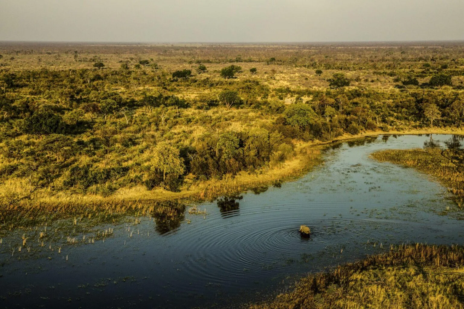 Selinda-Camp-Botswana-luxury-hotels-in-Botswana-exclusive-tailor-made-holidays-in-Botswana-trip-to-Botswana-12.jpg