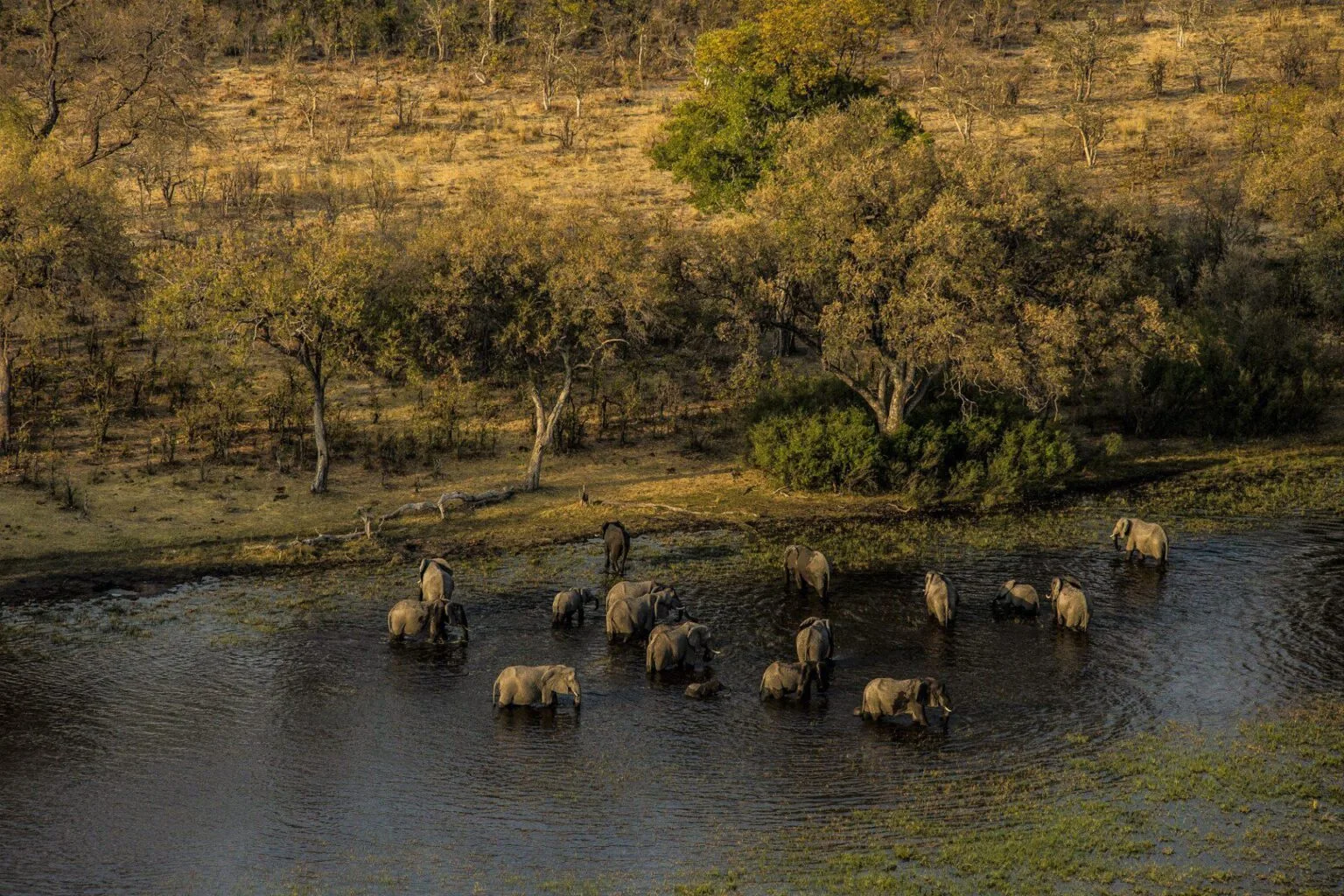 Selinda-Camp-Botswana-luxury-hotels-in-Botswana-exclusive-tailor-made-holidays-in-Botswana-trip-to-Botswana-13.jpg
