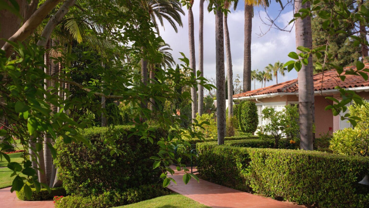 The-Beverly-Hills-Hotel-garden.jpg