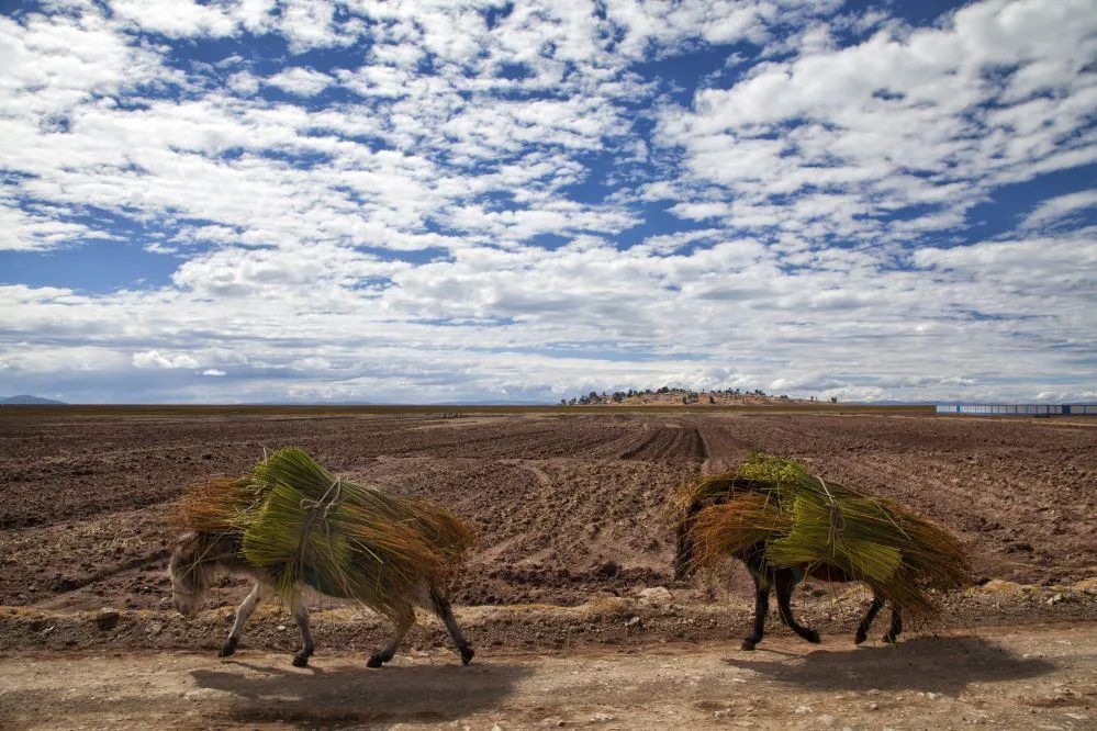 Titilaka-Lodge-Peru-osiolki.jpg