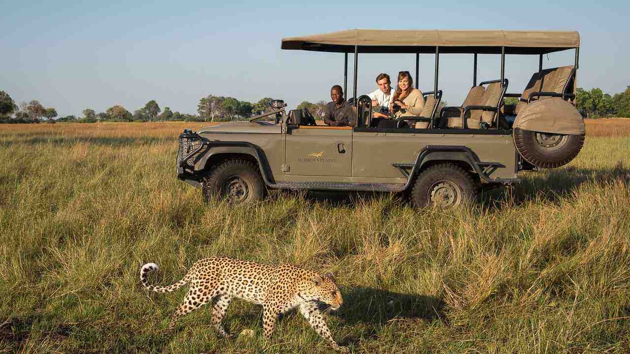 Vumbura-Plains-Botswana-najlepsze-safari-w-Botswanie-luksusowe-wyprawy-do-Botswany-wycieczki-do-Botswany-szyte-na-miare-ekskluzywne-lodge-w-Botswanie-16.jpg
