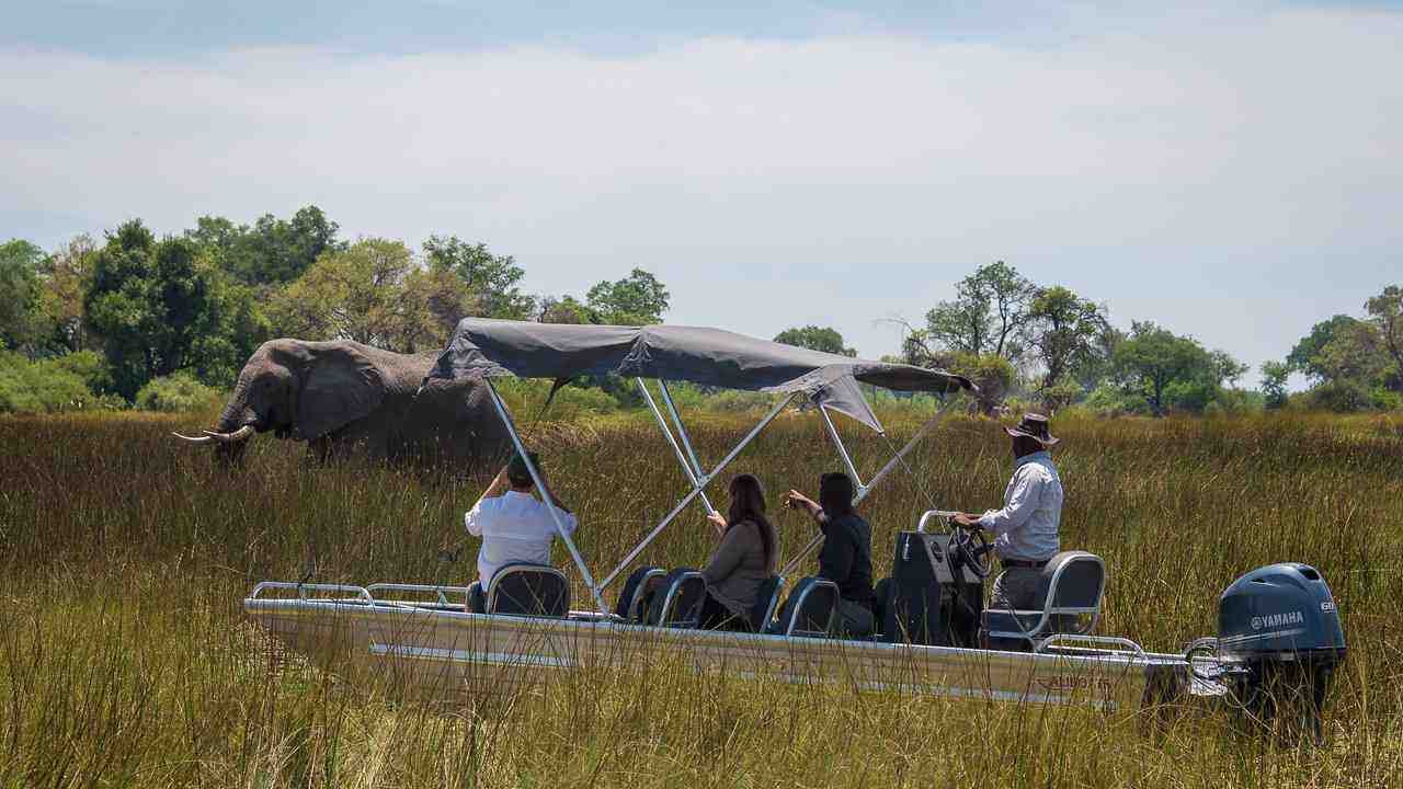 Vumbura-Plains-Botswana-najlepsze-safari-w-Botswanie-luksusowe-wyprawy-do-Botswany-wycieczki-do-Botswany-szyte-na-miare-ekskluzywne-lodge-w-Botswanie-17.jpg