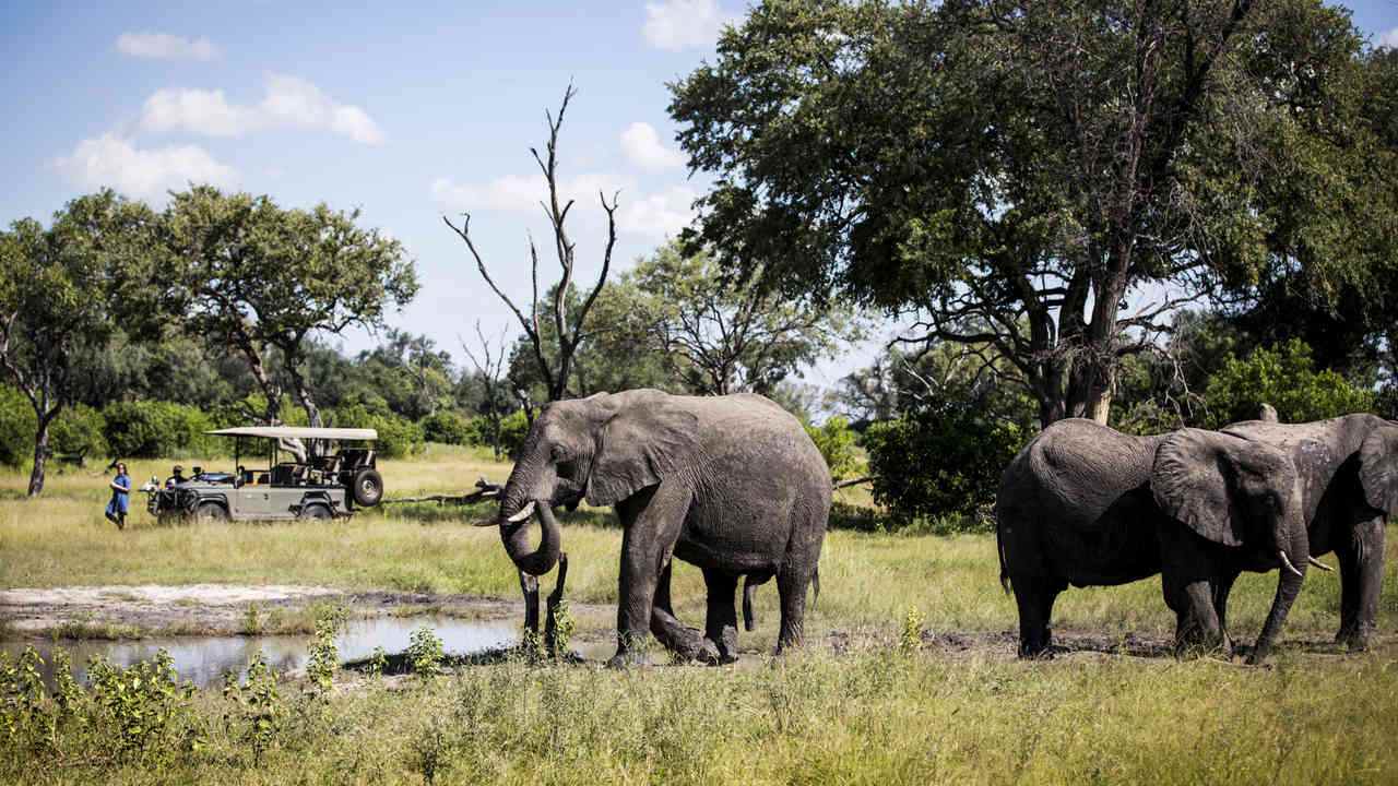 Vumbura-Plains-Botswana-najlepsze-safari-w-Botswanie-luksusowe-wyprawy-do-Botswany-wycieczki-do-Botswany-szyte-na-miare-ekskluzywne-lodge-w-Botswanie-18.jpg