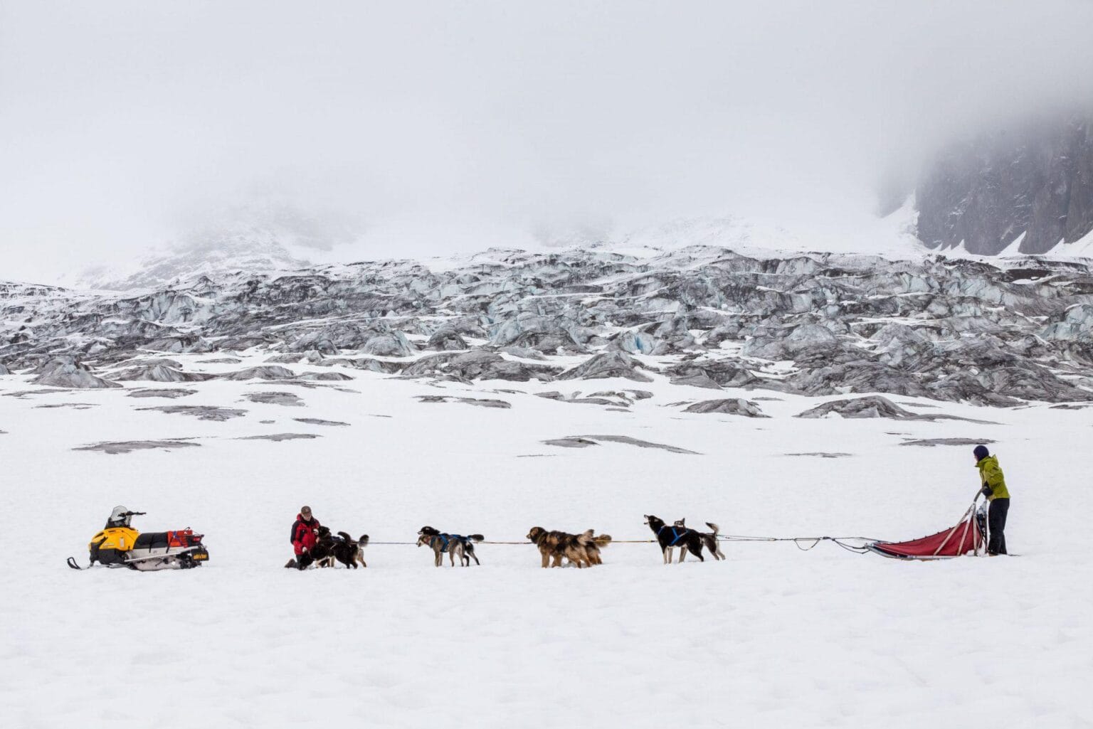 zwiedzanie psy zaprzęgowe Winterlake Lodge by Within the Wild