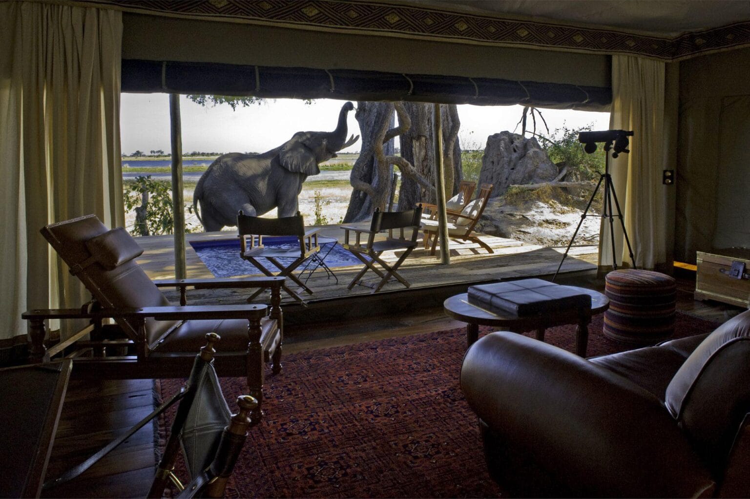 Zarafa-Camp-w-Botswanie-luksusowe-lodge-w-Botswanie-wakacje-w-Botswanie-szyte-na-miare-ekskluzywne-wyprawy-do-Botswany-23.jpg