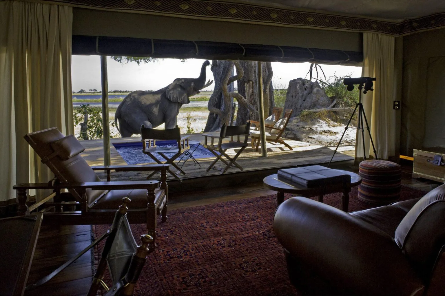 Zarafa-Camp-w-Botswanie-luksusowe-lodge-w-Botswanie-wakacje-w-Botswanie-szyte-na-miare-ekskluzywne-wyprawy-do-Botswany-23.jpg