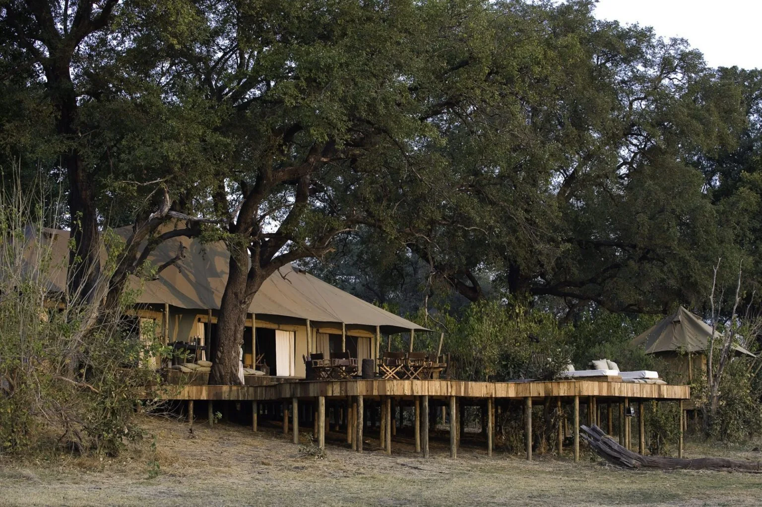 Zarafa-Camp-w-Botswanie-luksusowe-lodge-w-Botswanie-wakacje-w-Botswanie-szyte-na-miare-ekskluzywne-wyprawy-do-Botswany-6.jpg