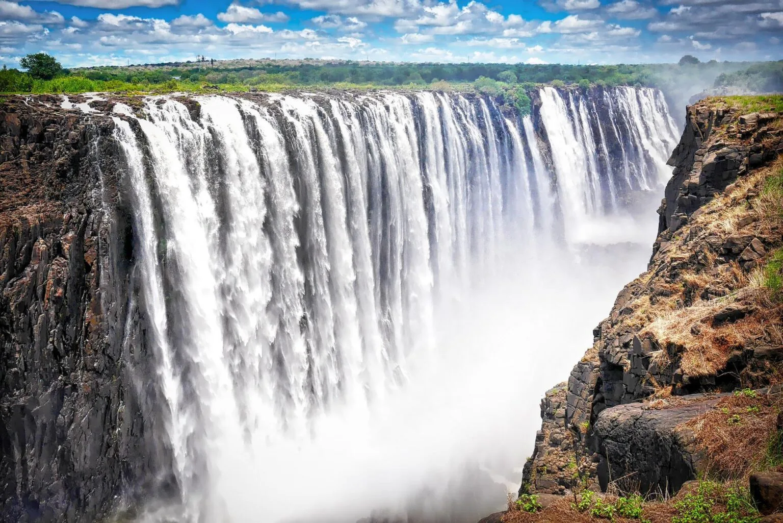 africa-2960532.jpg