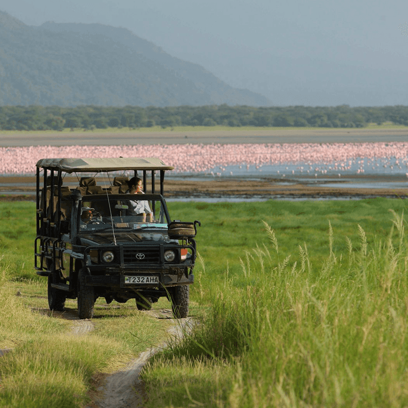 andBeyond-Lake-Manyara-Lodge-Tanzania-najlepsze-hotele-w-Tanzanii-luksusowe-lodge-w-Tanzanii-ekskluzywne-safari-w-Tanzanii-wycieczki-szyte-na-miare-do-Tanzanii-1.png