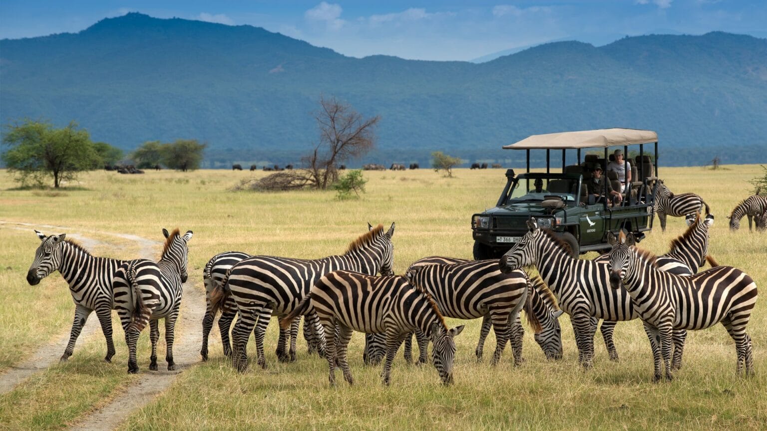 andBeyond-Lake-Manyara-Lodge-Tanzania-najlepsze-hotele-w-Tanzanii-luksusowe-lodge-w-Tanzanii-ekskluzywne-safari-w-Tanzanii-wycieczki-szyte-na-miare-do-Tanzanii-21.jpg