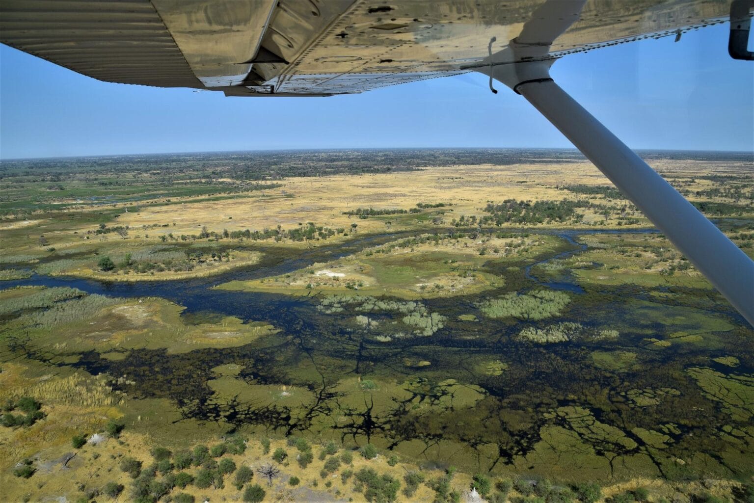 botswana-2391501.jpg