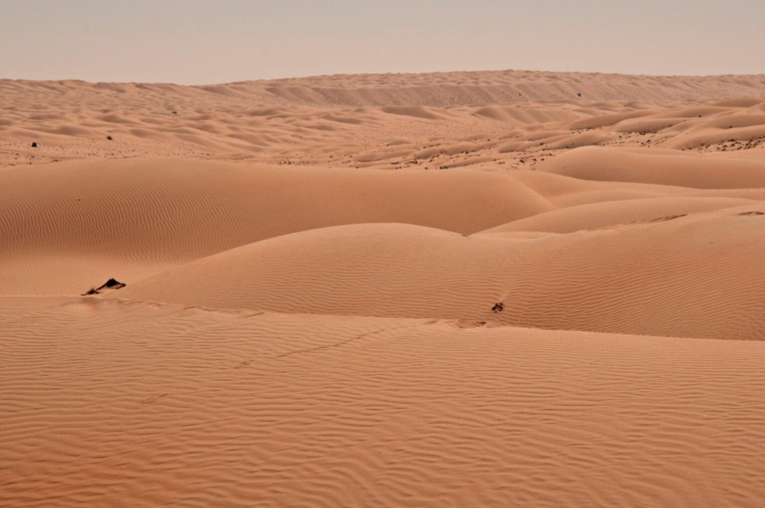 desert-3058246.jpg
