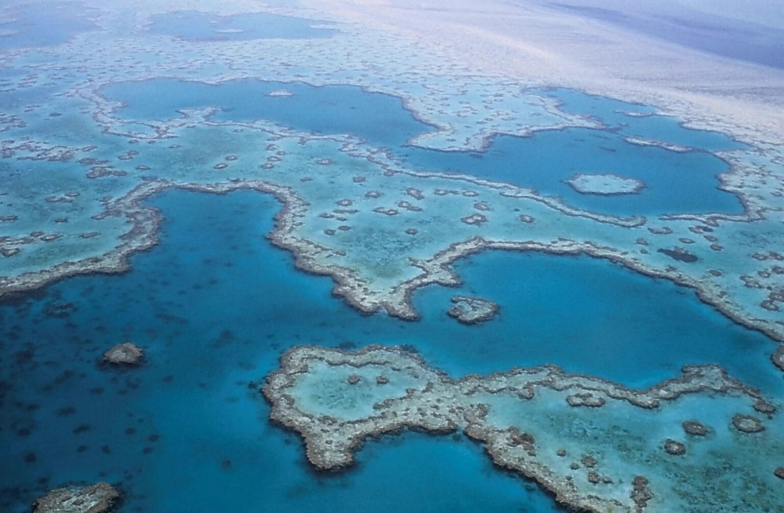 great-barrier-reef-527987.jpg