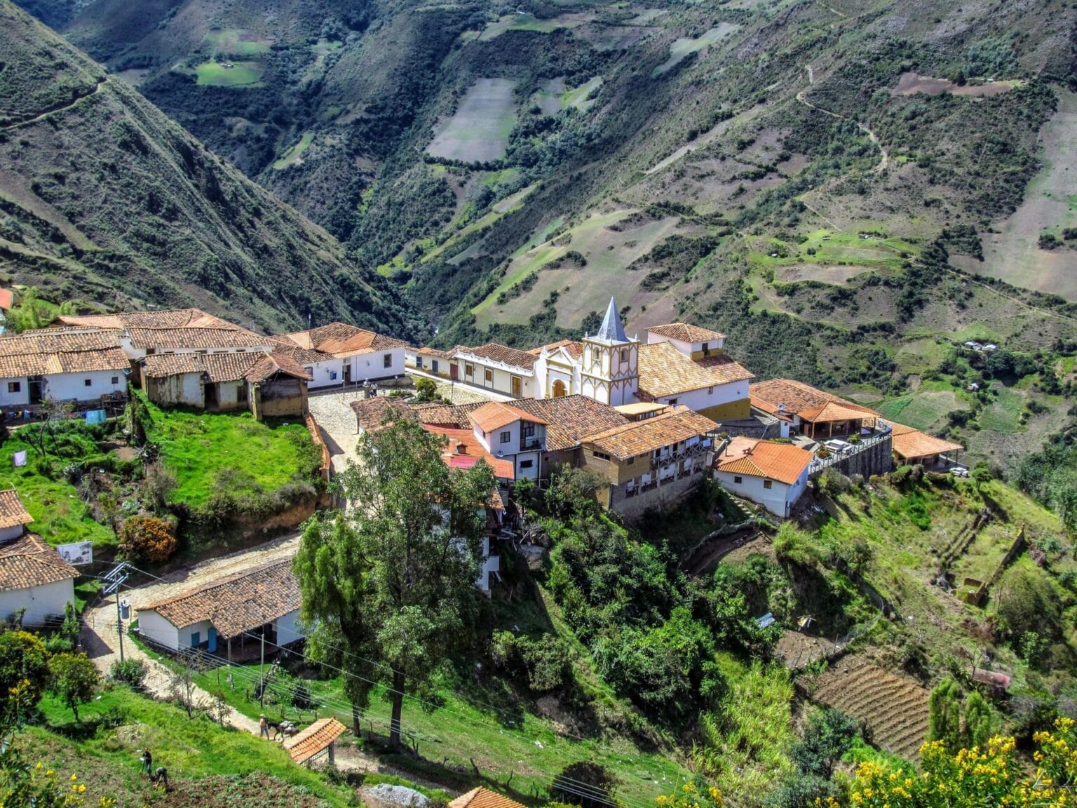 merida-109143.jpg