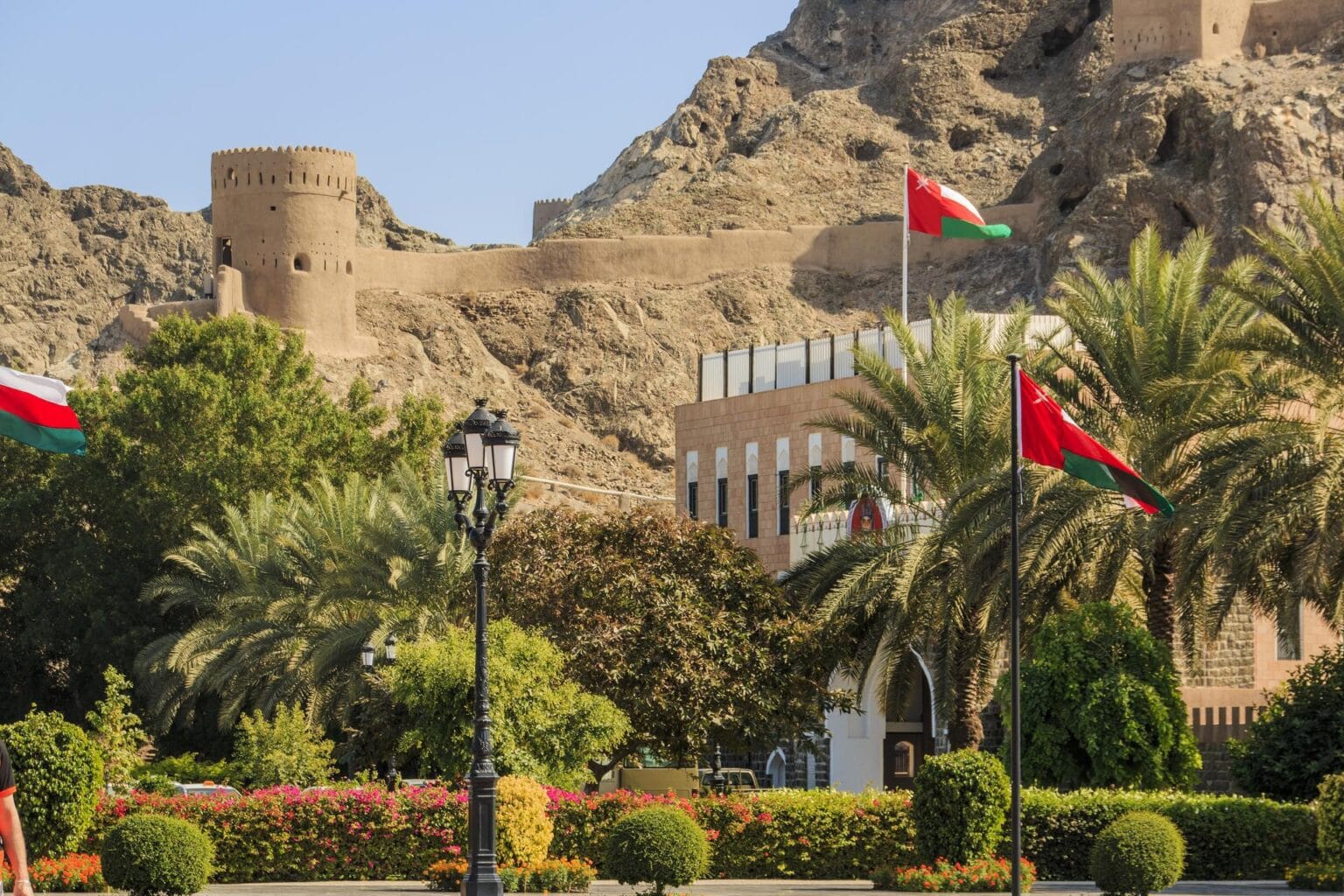 muscat-2606086.jpg