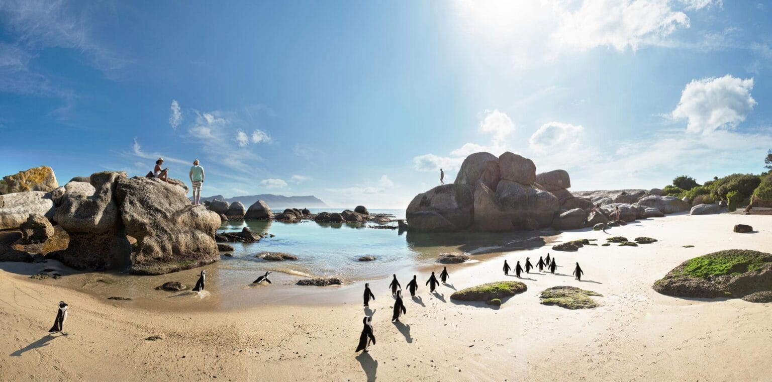 wyprawy-Kapsztad-Park-Krugera-Johannesburg-Boulders-Beach-Kapsztad-05.jpg