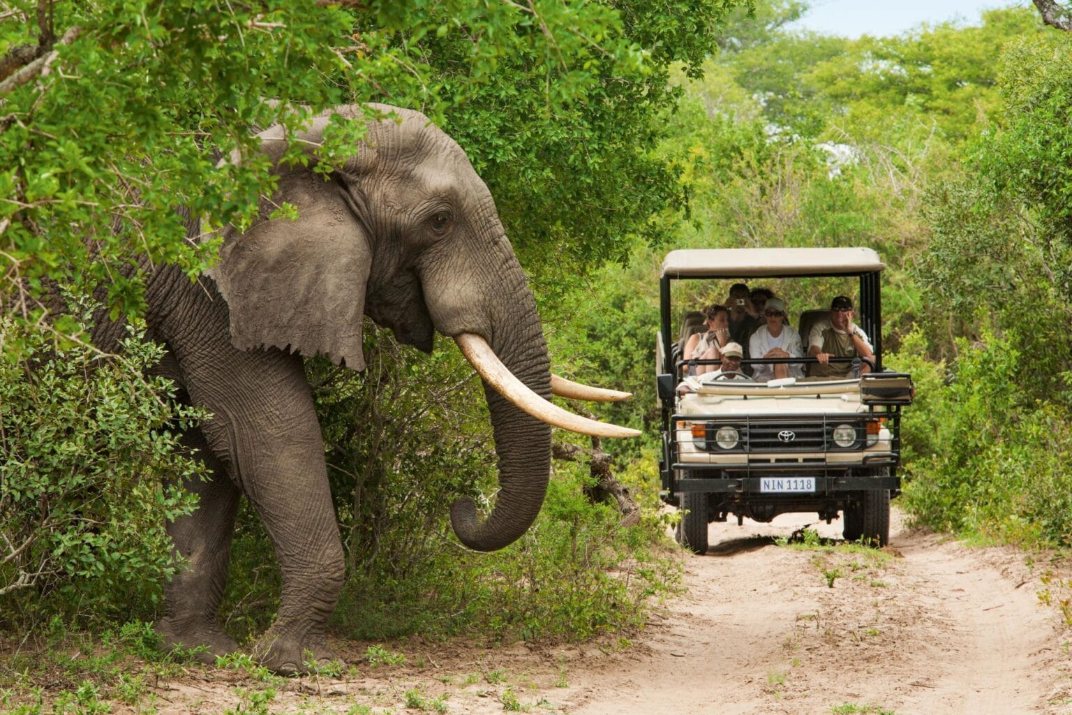 wyprawy-Kapsztad-Park-Krugera-Johannesburg-safari-Park-Krugera-11.jpg
