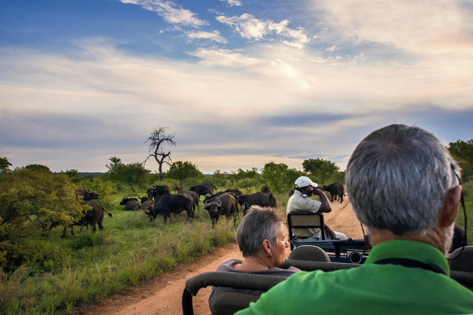 wyprawy-Kapsztad-Park-Krugera-Johannesburg-safari-Park-Krugera-19.jpg