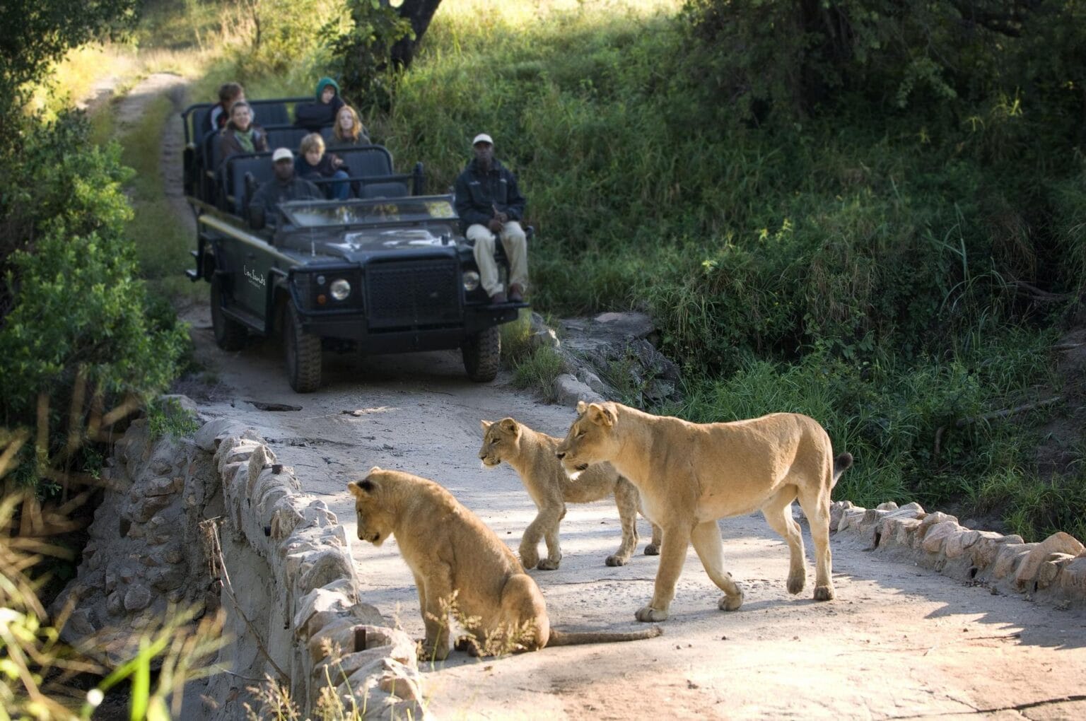 wyprawy-Kapsztad-Park-Krugera-Johannesburg-safari-Park-Krugera-23.jpg