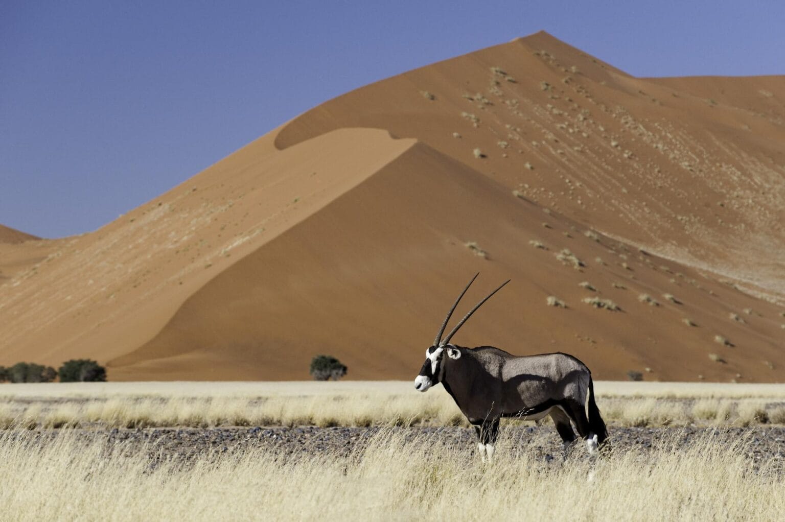 wyprawy-Namibia-z-Mozmbikiem-Sossusvlei.jpg