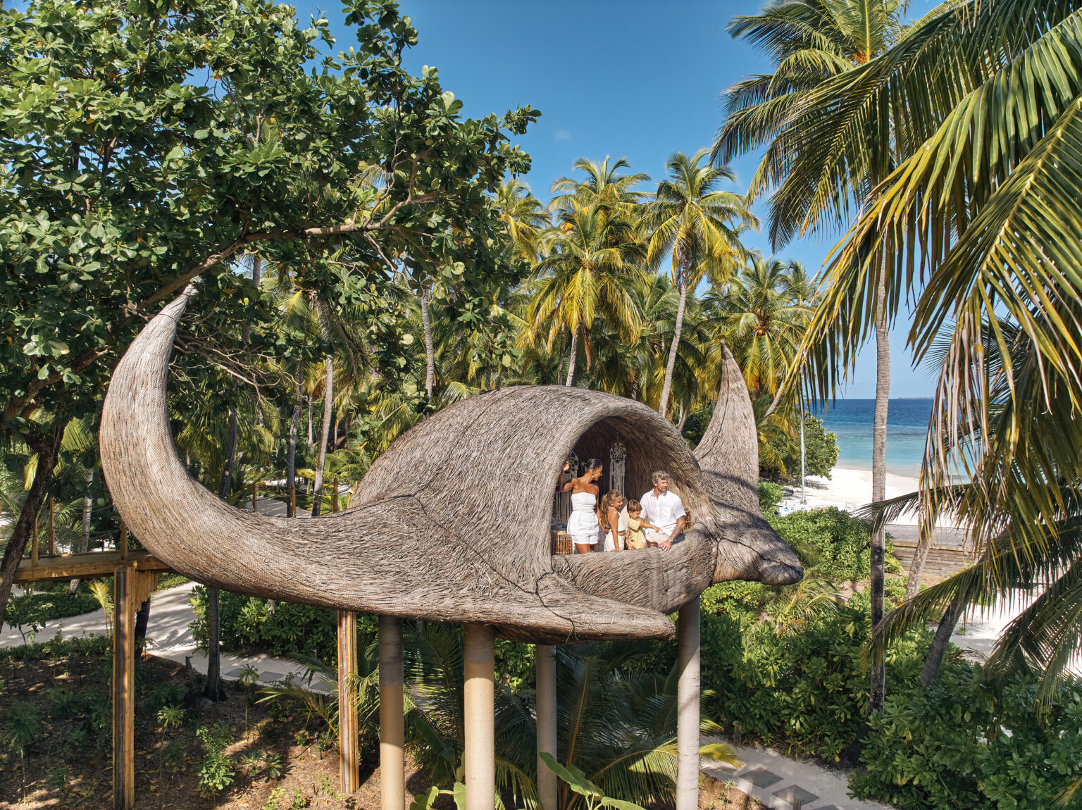 родина Джоалі 36