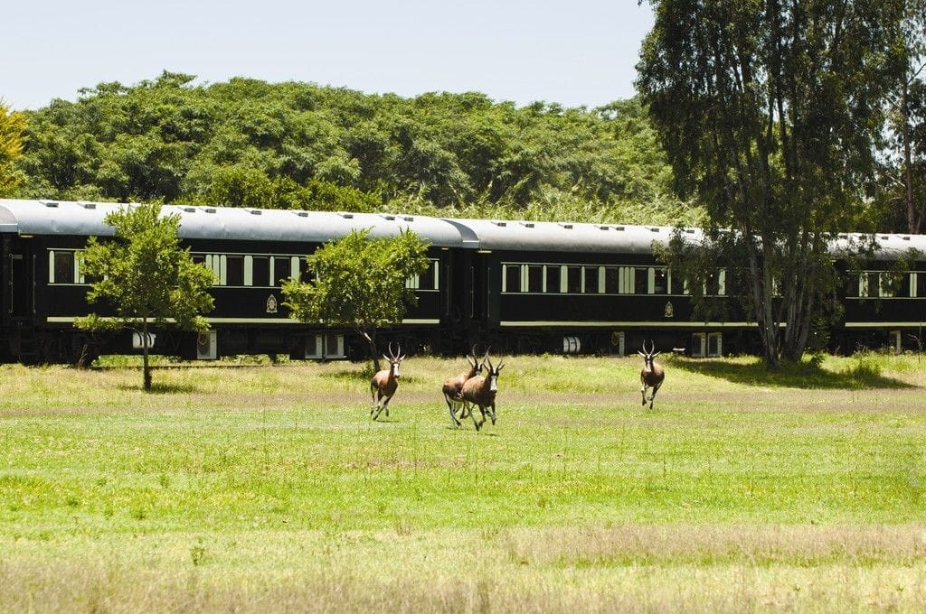 rovos rail