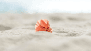 blog podróżniczy,poznaj cały świat