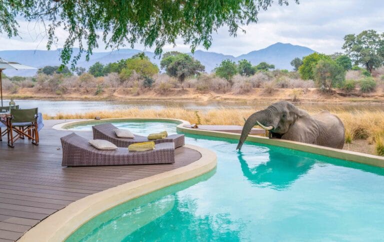 Chongwe House, luksusowe lodge w Afryce, safari w zambii