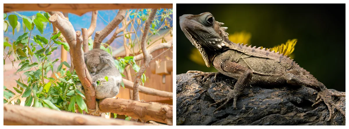 Park Narodowy Kakadu