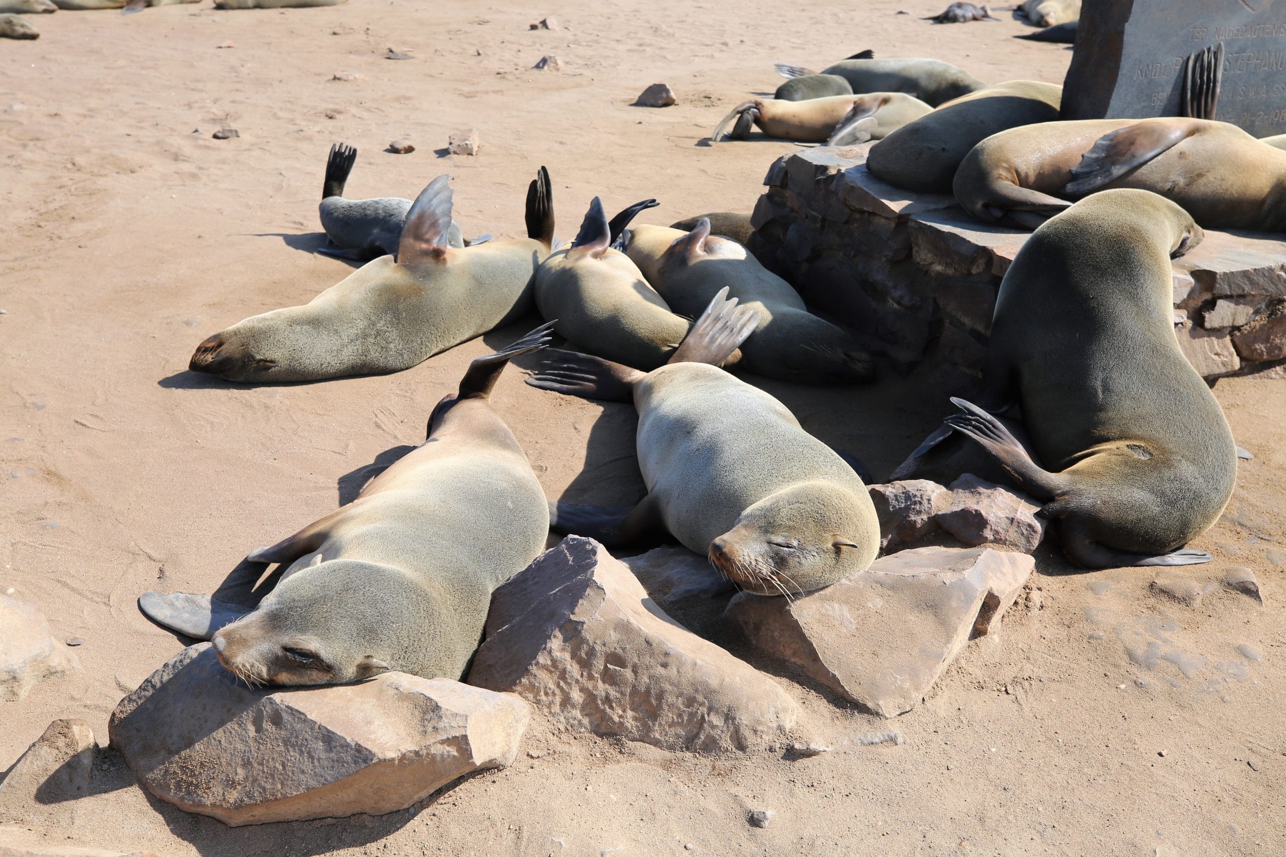 Namibia, Szkieletowe wybrzeze, atrakcje Namibii