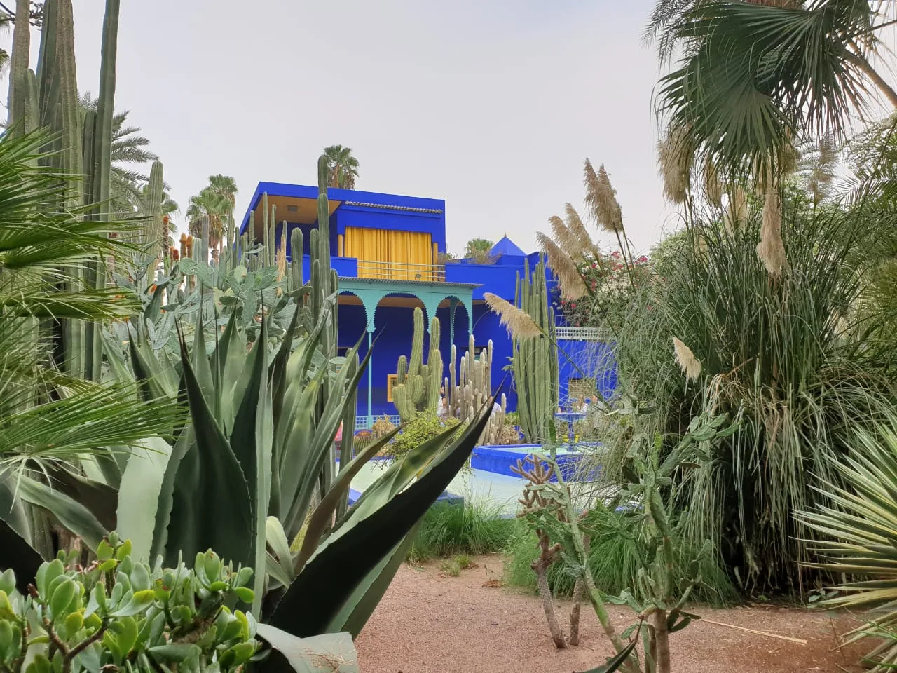 Bezpośrednie połączenie LOT-u do Marrakeszu,Autentyczne Maroko – ekskluzywne wycieczki i hotele jak z bajki,Baśniowe Maroko - luksusowe wakacje szyte na miarę i najlepsze hotele w Maroku,Bezpośrednie loty do Marrakeszu z Polski od października 2025,Wycieczki do Maroka w sezonie wakacyjnym 2025/2026 z biurem podróży CARTER ®,Najlepsze hotele - Hotel Royal Mansour w Marrakeszu w Maroku,Co warto zobaczyć w Marrakeszu,który tętni życiem?,Wycieczki na Saharę - poznaj największe sekrety niezwykłej pustyni,Luksusowe hotele w Maroku - hotele Dar Ahlam i Kasbah Tamadot,Antyatlas i południowe Maroko,Luksusowe wycieczki objazdowe do Maroka poza utartym szlakiem