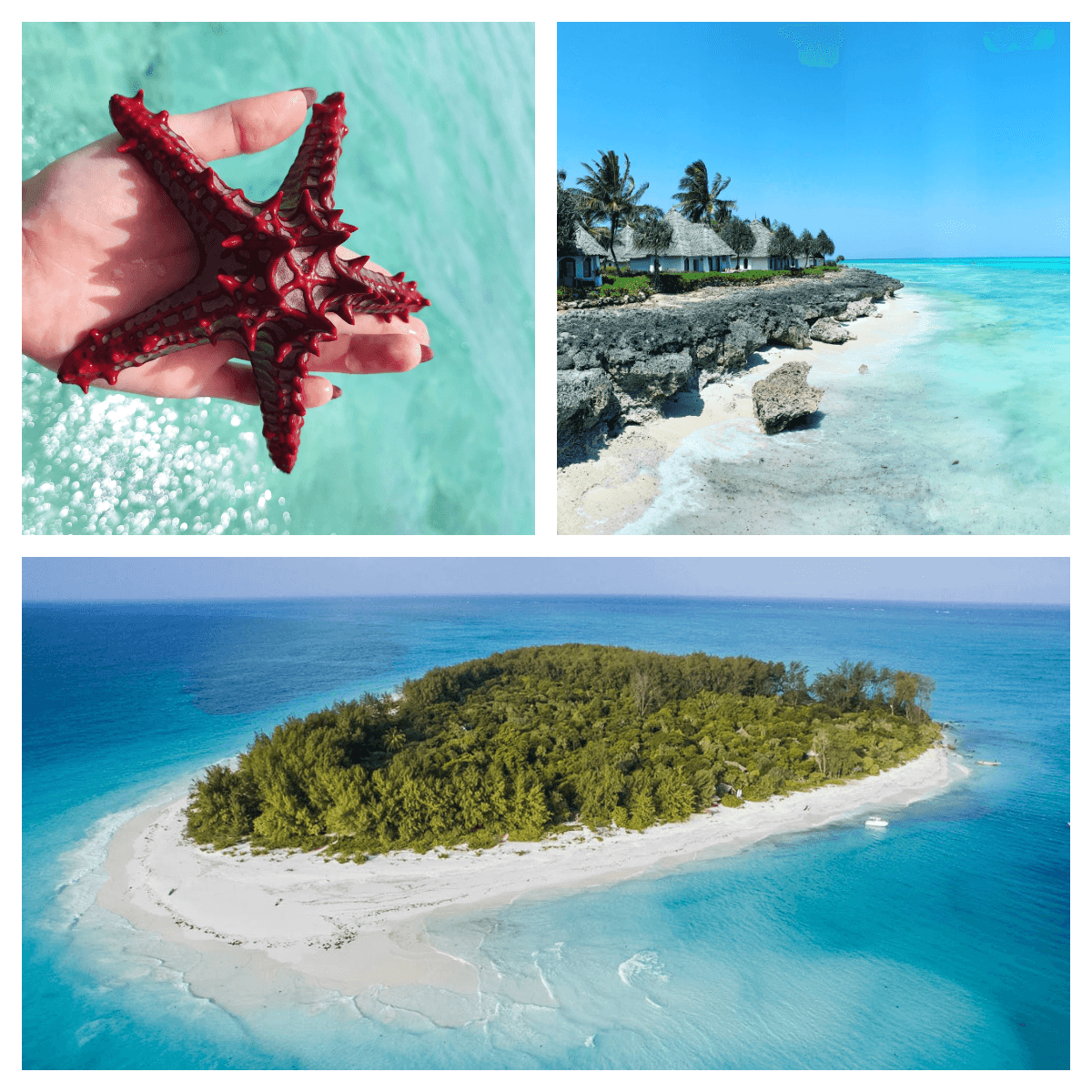 Wycieczki na Zanzibar z CARTER