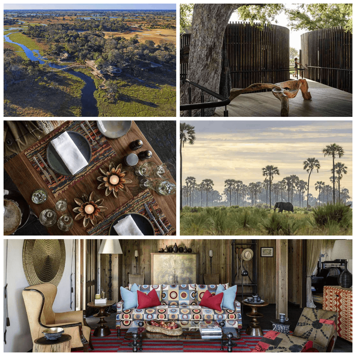 Xigera Safari Lodge Botswana, widok na las i słonia